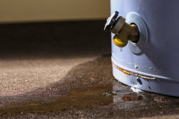 Best Water damage contractors near me  in Pine Crest, TN