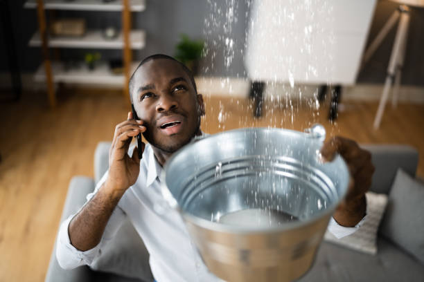  Pine Crest, TN Water damage restoration Pros