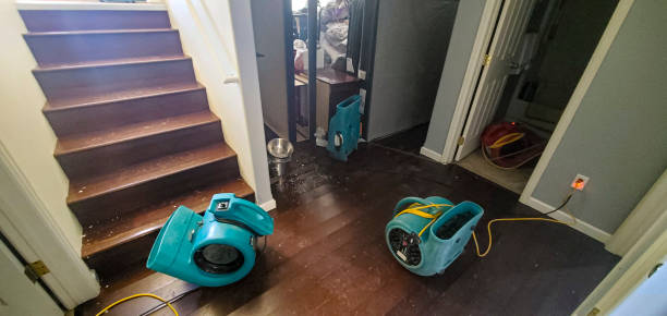 Best Water damage restoration specialists  in Pine Crest, TN