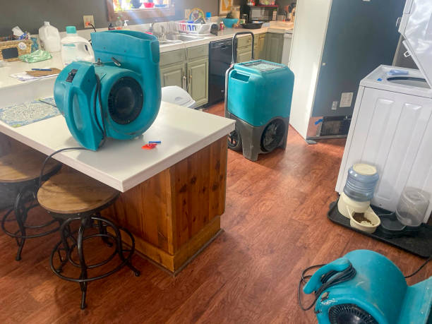 Best 24/7 water damage repair  in Pine Crest, TN