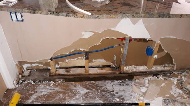 Best Carpet water damage restoration  in Pine Crest, TN