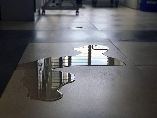 Best 24/7 water damage repair  in Pine Crest, TN
