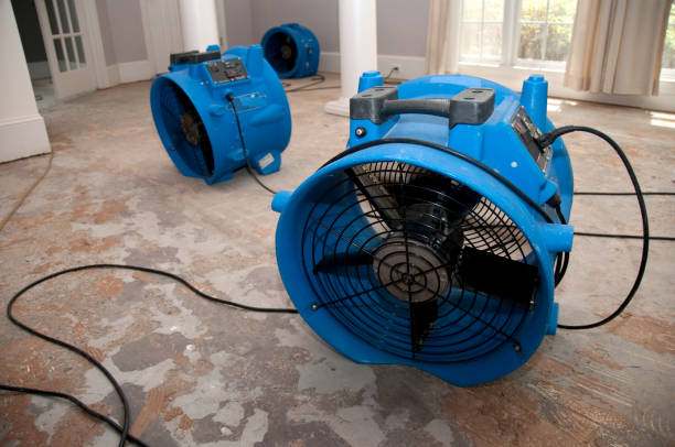 Best Flood restoration services  in Pine Crest, TN