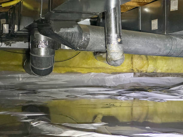 Best Water damage cleanup near me  in Pine Crest, TN