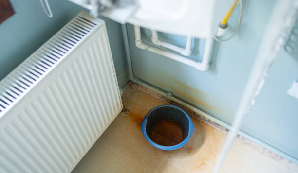 Best Water damage restoration mold remediation  in Pine Crest, TN