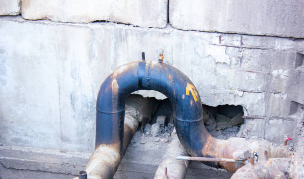 Best Water damage cleanup near me  in Pine Crest, TN
