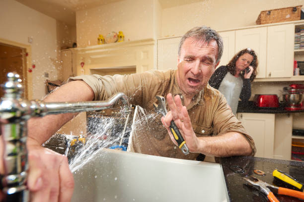 Best Flooded house restoration  in Pine Crest, TN